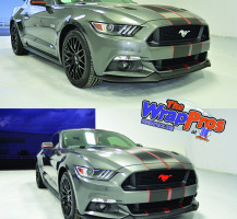 Grey Mustang Carbon Fiber Stripes