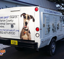 Marion County Animal Control Services