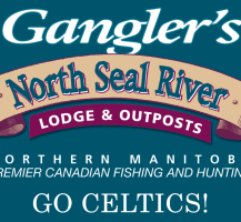 TCHS Gnagler’s 2014 Sponsor Banner