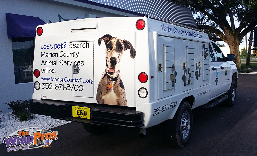 Marion County Animal Control Services | BB Graphics & The Wrap Pros