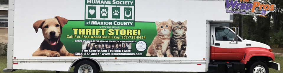 3M Certified Vehicle Wraps | Ocala Florida