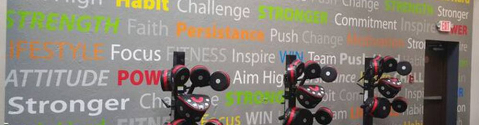 3M Certified Vehicle Wraps | Ocala Florida