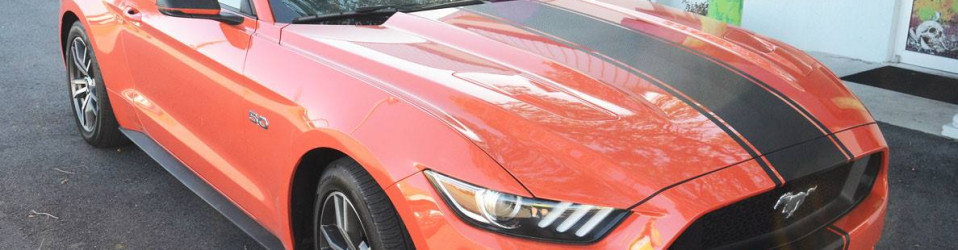 3M Certified Vehicle Wraps | Ocala Florida