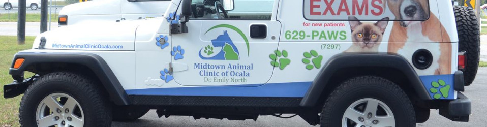 3M Certified Vehicle Wraps | Ocala Florida
