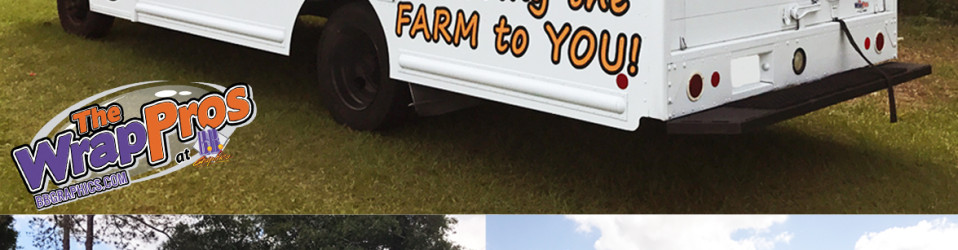 3M Certified Vehicle Wraps | Ocala Florida