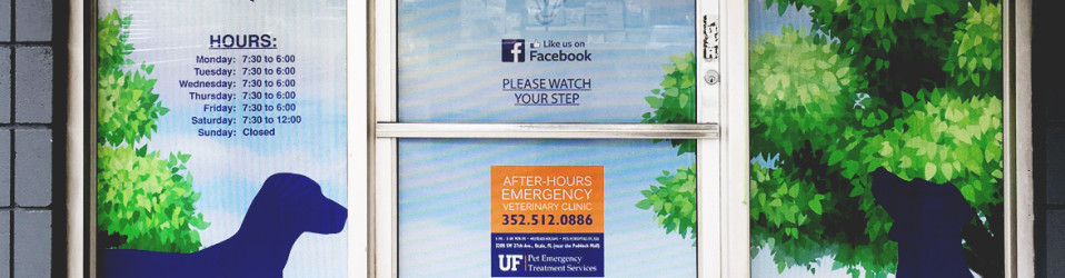 3M Certified Vehicle Wraps | Ocala Florida