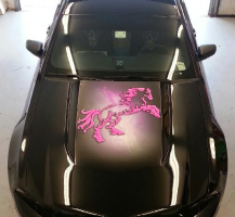 Black Mustang with Pink Graphic