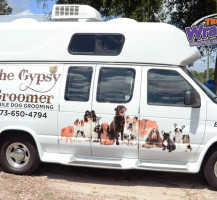 Gypsy Groomer