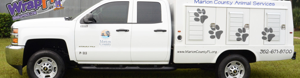 3M Certified Vehicle Wraps | Ocala Florida