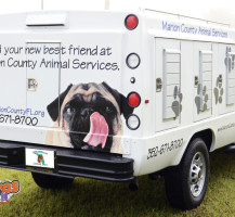 Marion County Animal Services Back