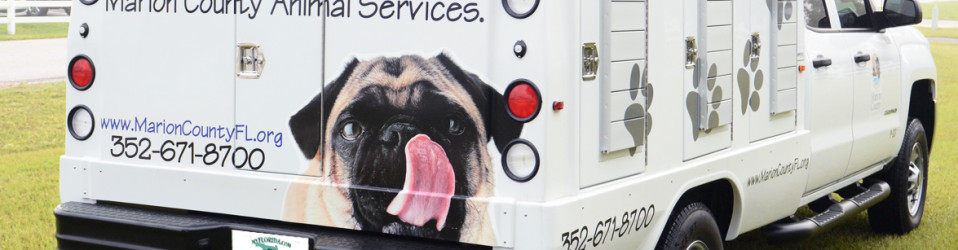 3M Certified Vehicle Wraps | Ocala Florida