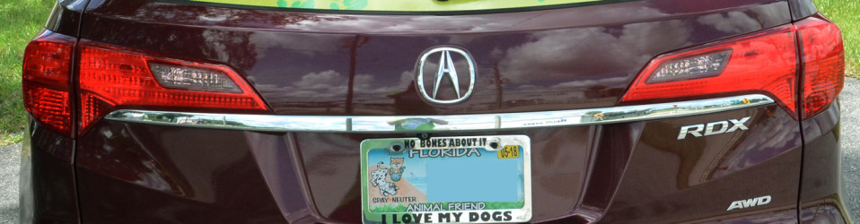 3M Certified Vehicle Wraps | Ocala Florida