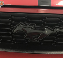 Mustang Accents