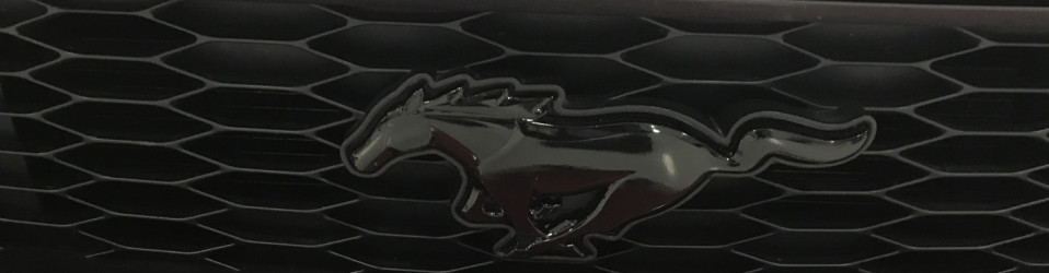 3M Certified Vehicle Wraps | Ocala Florida