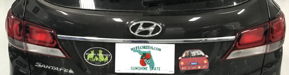 3M Certified Vehicle Wraps | Ocala Florida