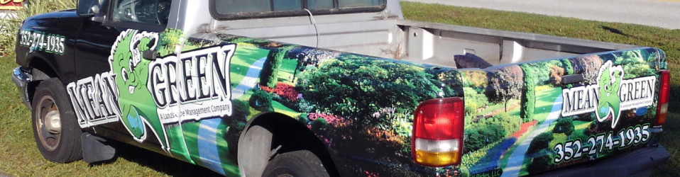 3M Certified Vehicle Wraps | Ocala Florida