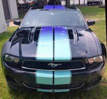 Mustang with multi-color stripes