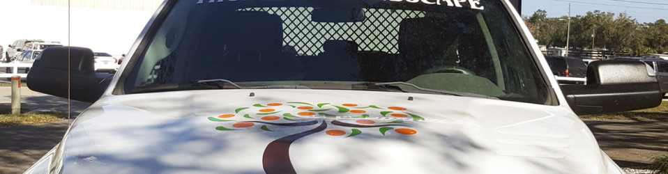 | 3M Certified Vehicle Wraps | Ocala Florida
