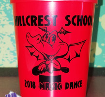 Marion County Schools – Hillcrest Dragon Cups