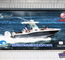 Transition Water Sports Window Perf