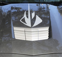 Corvette Stingray Hood Graphic