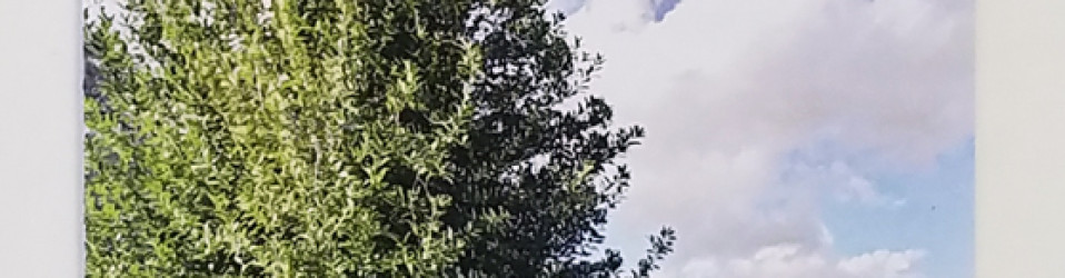 | 3M Certified Vehicle Wraps | Ocala Florida