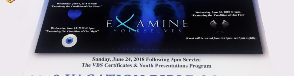 | 3M Certified Vehicle Wraps | Ocala Florida