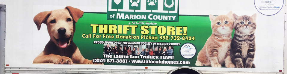 | 3M Certified Vehicle Wraps | Ocala Florida