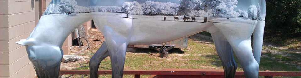 Ocala Horse Wrap
