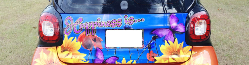 | 3M Certified Vehicle Wraps | Ocala Florida