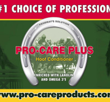 Pro Care Plus Billboard