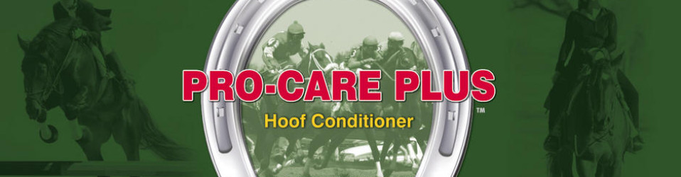 Pro Care Plus Billboard
