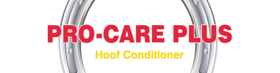 Pro Care Plus Logo Design