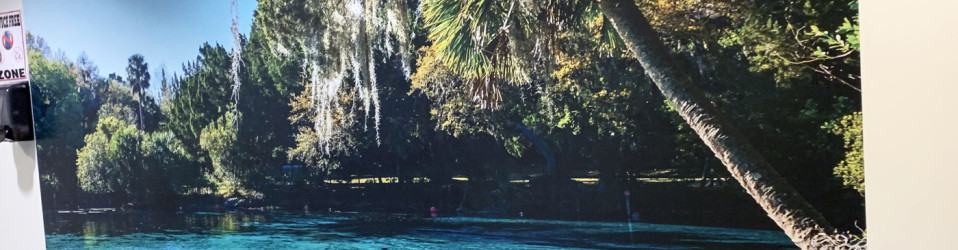 | 3M Certified Vehicle Wraps | Ocala Florida