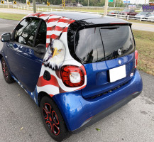 American Flag Smart Car