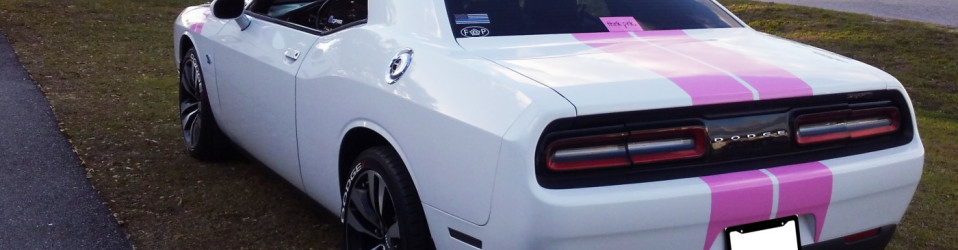 | 3M Certified Vehicle Wraps | Ocala Florida