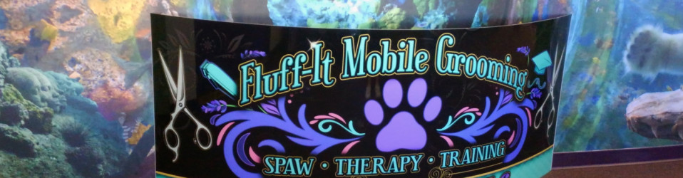 | 3M Certified Vehicle Wraps | Ocala Florida