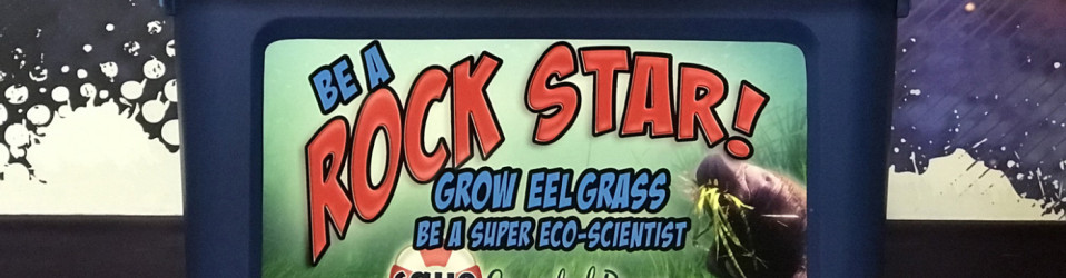 3M Certified Vehicle Wraps | Ocala Florida