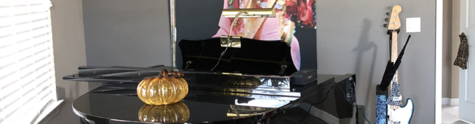 3M Certified Vehicle Wraps | Ocala Florida