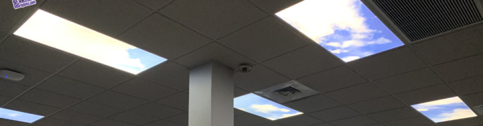 3M Certified Vehicle Wraps | Ocala Florida