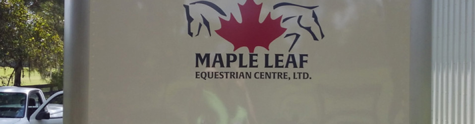 3M Certified Vehicle Wraps | Ocala Florida