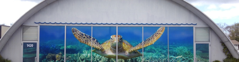 World Treasures Shells & Gift Shop Exterior Windows