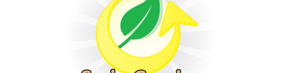 Solagrain Logo Design