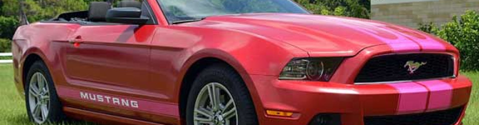 3M Certified Vehicle Wraps | Ocala Florida