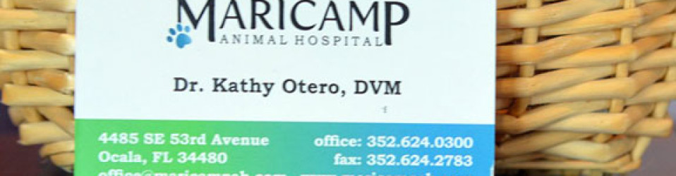 Maricamp Animal Hospital Business Cards