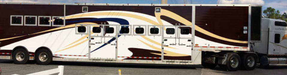 3M Certified Vehicle Wraps | Ocala Florida
