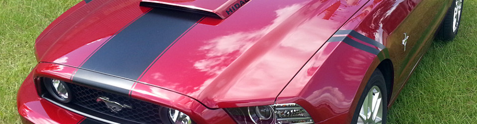 3M Certified Vehicle Wraps | Ocala Florida
