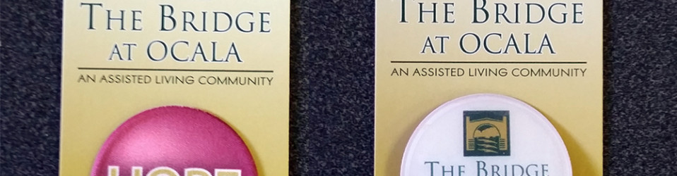 The Bridge Assisted Living – Screen Cleaners – ASI