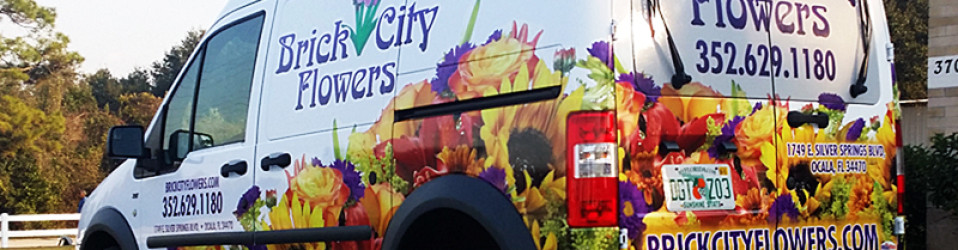 3M Certified Vehicle Wraps | Ocala Florida
