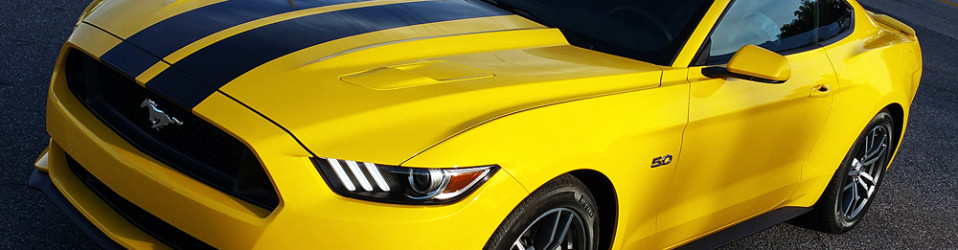 3M Certified Vehicle Wraps | Ocala Florida